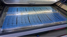 蚀刻加工来图加工支持什么格式的图纸